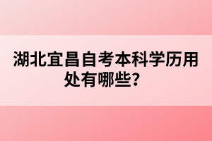 湖北宜昌自考本科學(xué)歷用處有哪些？