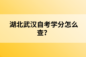 湖北武漢自考學(xué)分怎么查？