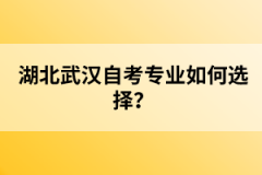 湖北武漢自考專業(yè)如何選擇？