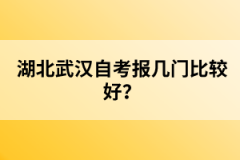 湖北武漢自考報幾門比較好？