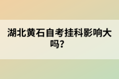 湖北黃石自考掛科影響大嗎？