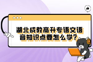 湖北成教高升專語文語音知識點(diǎn)要怎么學(xué)？