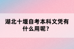 湖北十堰自考本科文憑有什么用呢？