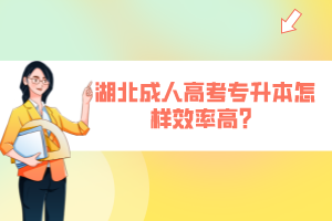 湖北成人高考專升本怎樣效率高？