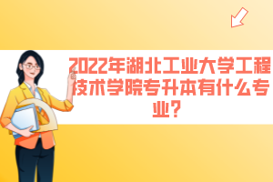 2022年湖北工業(yè)大學(xué)工程技術(shù)學(xué)院專升本有什么專業(yè)？