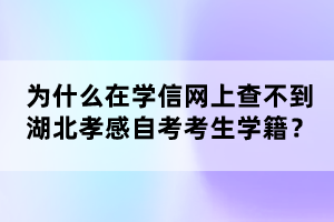 為什么在學信網上查不到湖北孝感自考考生學籍?