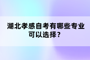 湖北孝感自考有哪些專業(yè)可以選擇？