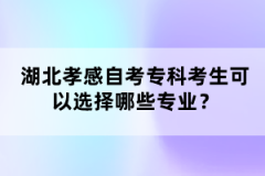 湖北孝感自考專科考生可以選擇哪些專業(yè)？
