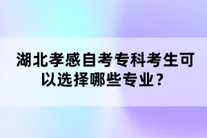 湖北孝感自考專(zhuān)科考生可以選擇哪些專(zhuān)業(yè)？