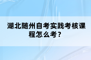 湖北隨州自考實(shí)踐考核課程怎么考？