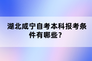 湖北咸寧自考本科報(bào)考條件有哪些？