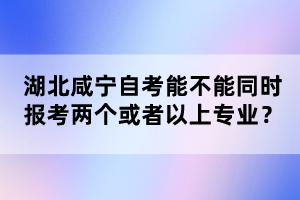 湖北咸寧自考能不能同時報考兩個或者以上專業(yè)?