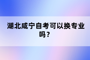 湖北咸寧自考可以換專業(yè)嗎？