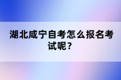 湖北咸寧自考怎么報(bào)名考試呢？