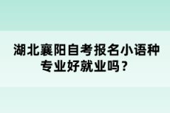 湖北襄陽(yáng)自考報(bào)名小語(yǔ)種專業(yè)好就業(yè)嗎？