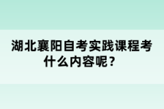 湖北襄陽(yáng)自考實(shí)踐課程考什么內(nèi)容呢？