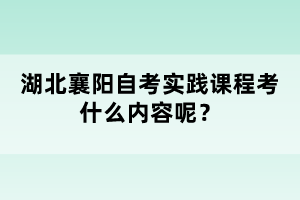 湖北襄陽(yáng)自考實(shí)踐課程考什么內(nèi)容呢?