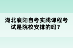 湖北襄陽自考實(shí)踐課程考試是院校安排的嗎？