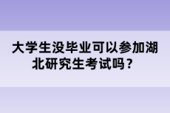 大學生沒畢業(yè)可以參加湖北研究生考試嗎？
