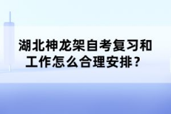 湖北神龍架自考復(fù)習(xí)和工作怎么合理安排？