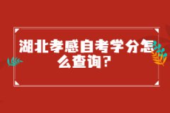 湖北孝感自考學分怎么查詢？