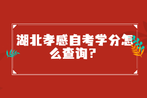 湖北孝感自考學(xué)分怎么查詢？