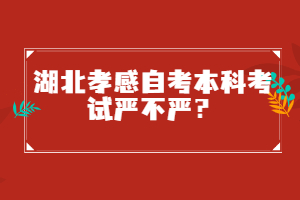 湖北孝感自考本科考試嚴(yán)不嚴(yán)？