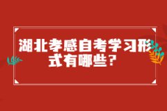 湖北孝感自考學(xué)習(xí)形式有哪些？