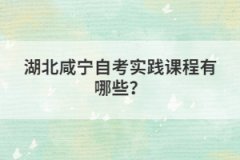 湖北咸寧自考實(shí)踐課程有哪些？