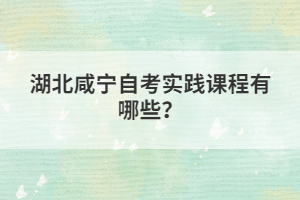 湖北咸寧自考實踐課程有哪些？