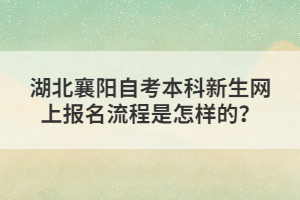 湖北襄陽自考本科新生網(wǎng)上報(bào)名流程是怎樣的？
