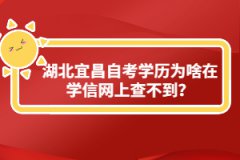 湖北宜昌自考學(xué)歷為啥在學(xué)信網(wǎng)上查不到？