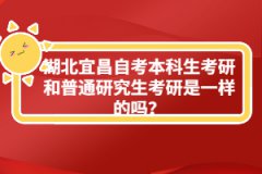 湖北宜昌自考本科生考研和普通研究生考研是一樣的嗎？