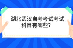 湖北武漢自考考試科目有哪些？