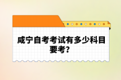 咸寧自考考試有多少科目要考？