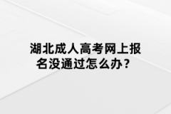 湖北成人高考網(wǎng)上報名沒通過怎么辦？