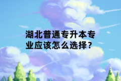 湖北普通專(zhuān)升本專(zhuān)業(yè)應(yīng)該怎么選擇？