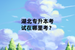 湖北專(zhuān)升本考試在哪里考？