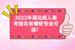 2022年湖北成人高考報(bào)名有哪些專業(yè)可選？