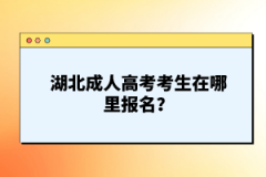 湖北成人高考考生在哪里報名？