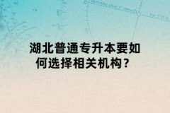 湖北普通專升本要如何選擇相關(guān)機構(gòu)？