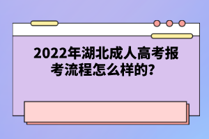 2022年湖北成人高考報考流程怎么樣的？