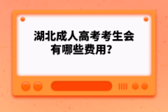 湖北成人高考考生會有哪些費用？