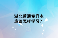 湖北普通專升本應(yīng)該怎樣學(xué)習(xí)？