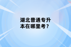 湖北普通專升本在哪里考？