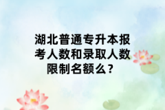 湖北普通專升本報(bào)考人數(shù)和錄取人數(shù)限制名額么？