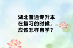 湖北普通專升本在復(fù)習的時候，應(yīng)該怎樣自學(xué)？