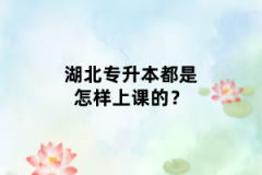 湖北專升本都是怎樣上課的？