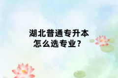 湖北普通專升本怎么選專業(yè)？