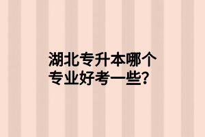 湖北專升本哪個專業(yè)好考一些？